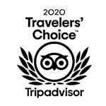 TripAdvisor 2020